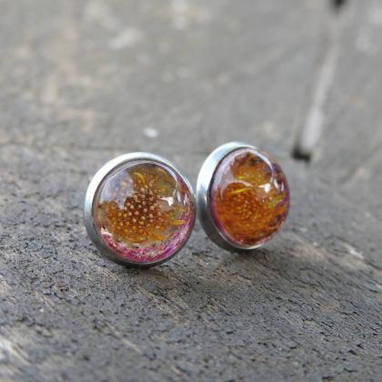 Pink And Gold Resin Stud Earrings With Real..